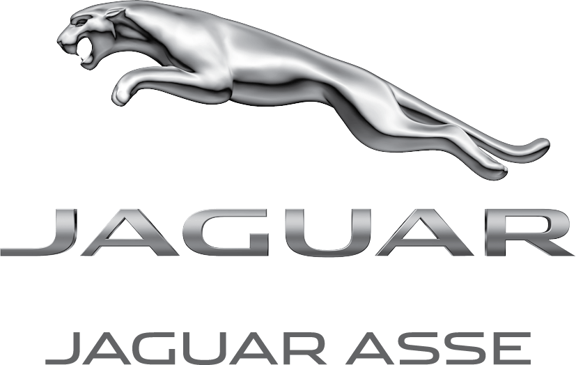 Jaguar_Asse_Q.png